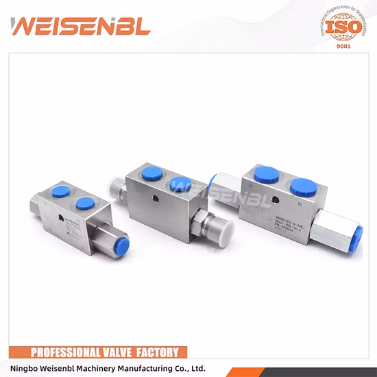 Wholesale Customized Roller Excavator Loader Crane Bulldozer Hydraulic Pilot Double Check Valve